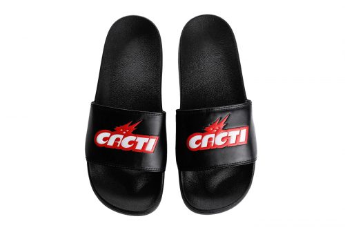 merchandsing cacti travis (3)