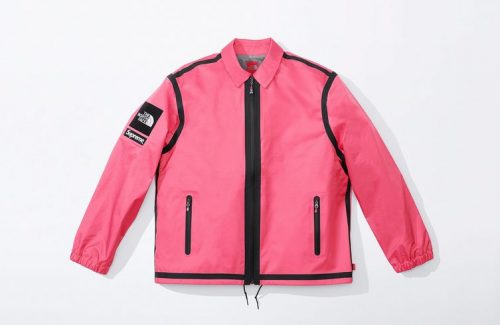 supreme the north face ss21 (2)
