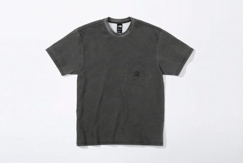 supreme the north face ss21 (2)