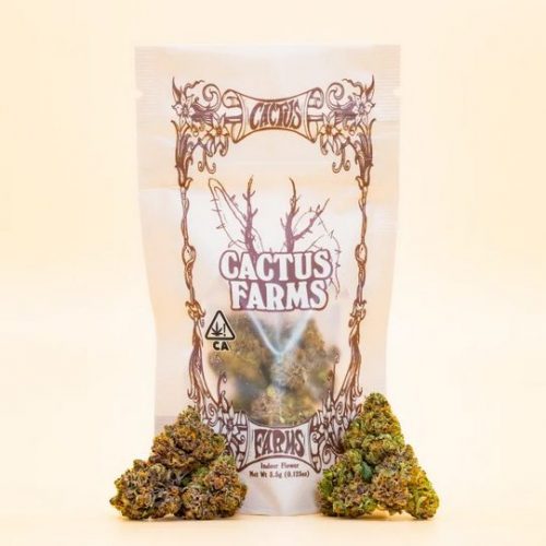 travis scott cannabis