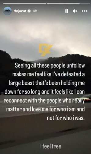 doja liberada seguidores