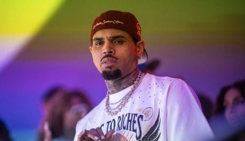 Chris Brown pagará millones por el ataque de uno de sus perros